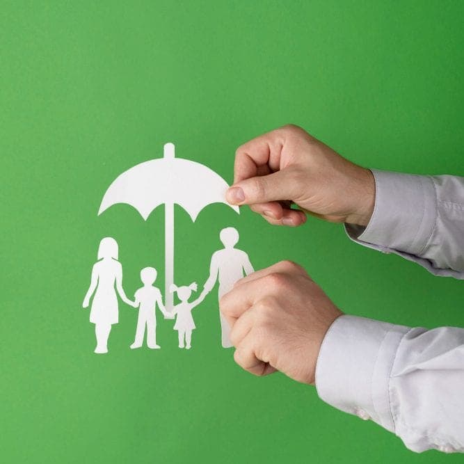 Green Delta Insurance SEO Growth Case Study