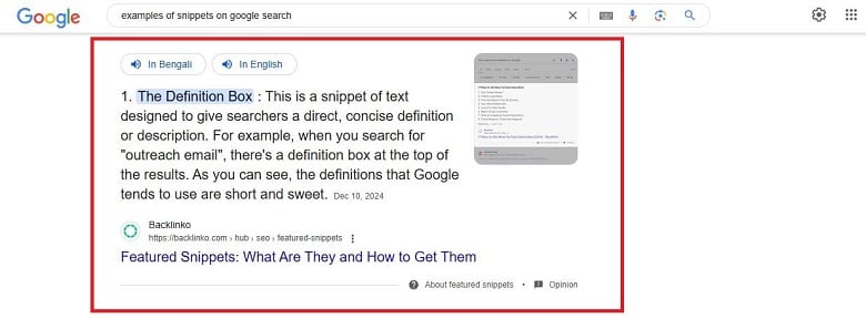search result: examples of snippets on google search